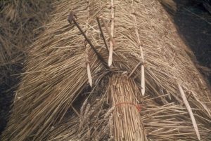 thatch roof