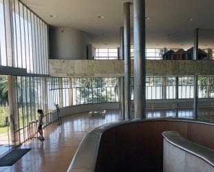 BRAZILIAN MODERNISM